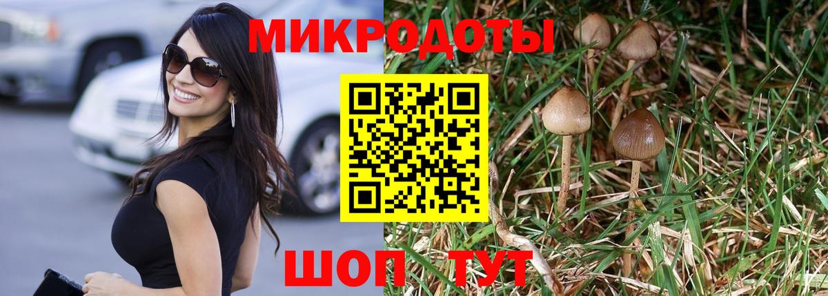 Дмитров  Псилоцибиновые грибы прущие грибы  Вход с VPN 